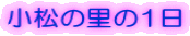 �����̗���1�� 