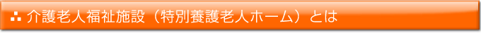 介護老人福祉施設（特別養護老人ホーム）とは